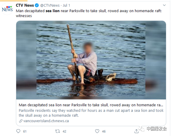 （7月1日，加拿大媒体报道了一则居民目击：发现有人划自制木筏，在帕克斯维尔附近斩首海狮，然后取下头骨。来源/CTV）